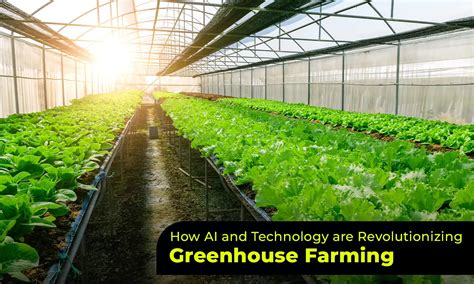 Revolutionizing Farming: High Tech Greenhouse Project