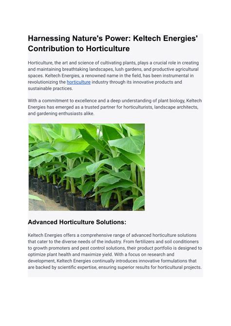 Revolutionizing Horticulture With Premier Tech Solutions