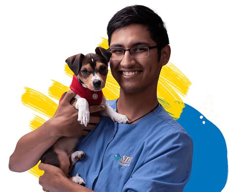 Sjvc Vet Tech Program: Start Your Veterinary Career Today