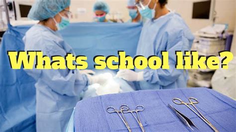 Surgical Tech Schools In Kentucky: Top Options