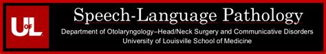 Texas Tech Speech Therapy Programs For Communication Excellence