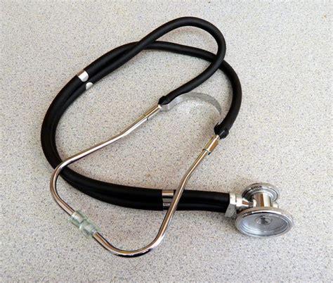 Top 5 Stethoscopes For Vet Techs