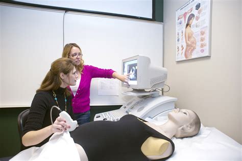 Ultrasound Tech Curriculum: Education And Training Requirements