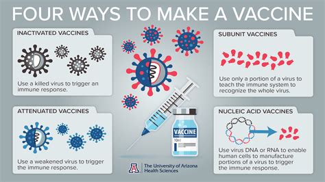 Vaccine Tech: Adjuvants In Modern Vaccines Explained