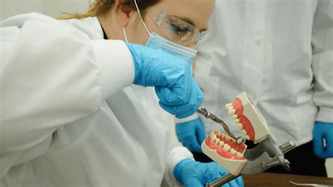 Veneer Tech School: Training For Dental Excellence