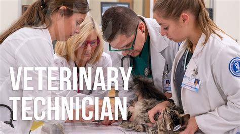 Vet Tech Programs In Nebraska: A Comprehensive Guide