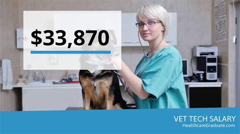 Vet Tech Salary In Illinois: How Much Do They Make