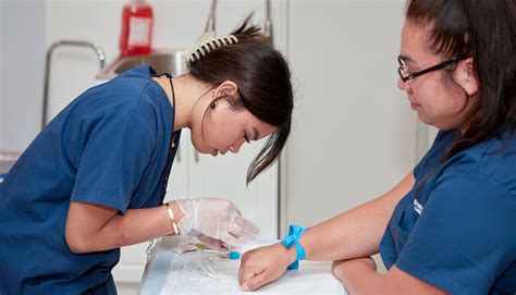 Wake Tech Phlebotomy Program Overview