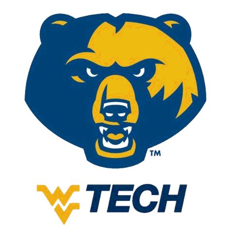 West Virginia Tech Golden Bears Soccer Team Insights