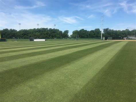 York Techs Top Athletic Field Features Revealed