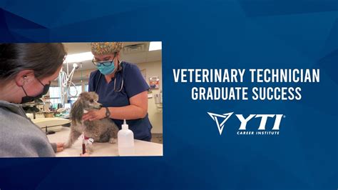 Yti Vet Tech Program: Empowering Animal Care Careers